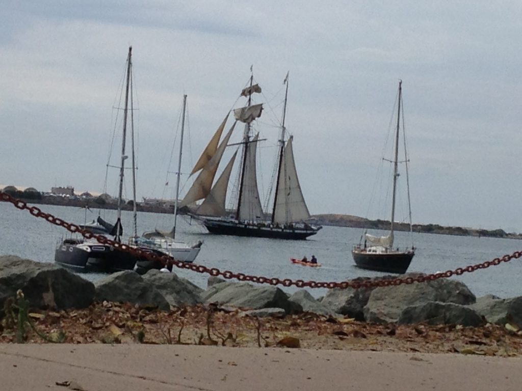 Tall Ships Parade in  San Diego