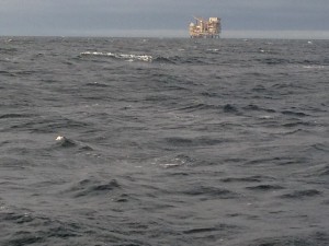 One  of many Oil platforms 