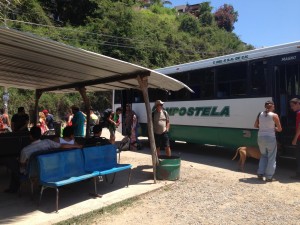 A dog boarding a bus at the bus stop in Sayulita, a small tourist town a bus ride from Puerto Vallarta that has a gorgeous beach and a salsa club with live salsa  on Monday nights.