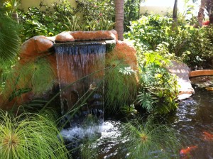 A water feature at the fancy resort down the beach from Surf's Up.  Nice resort but it is all inclusive so no one ever leaves to discover where they are.