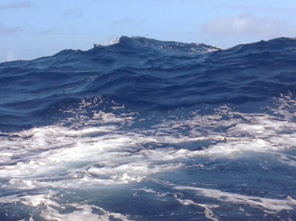 What 8-foot seas look like - you can't see the sea over the wave when you are in the trough
